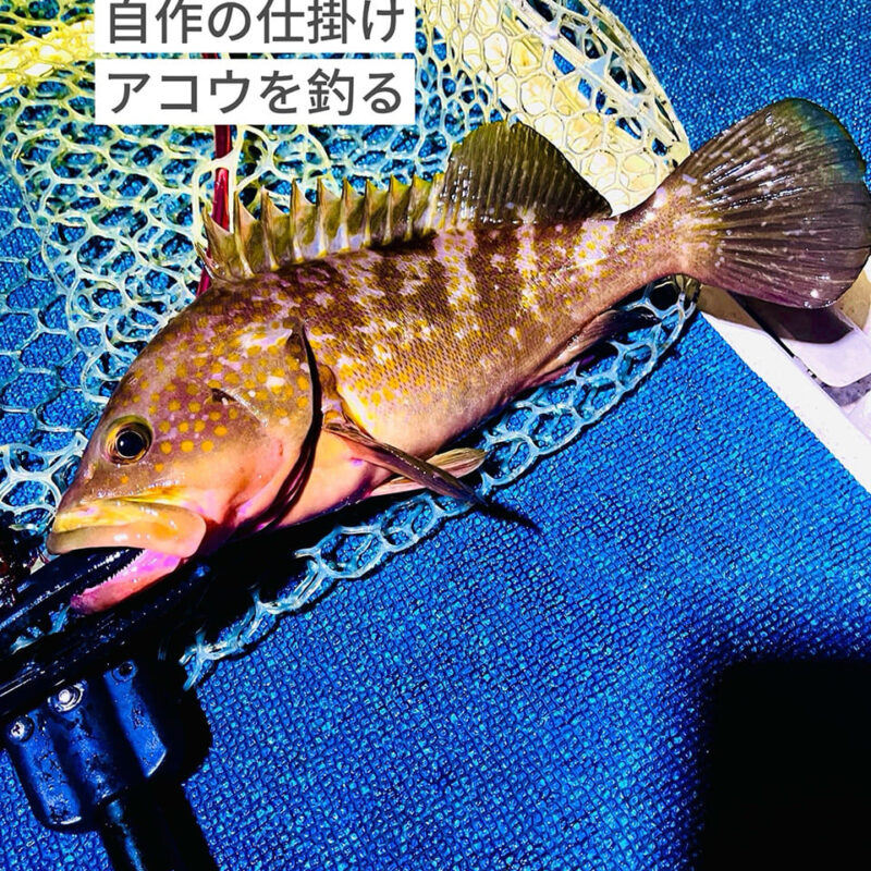 福祉✖️遊漁🎣